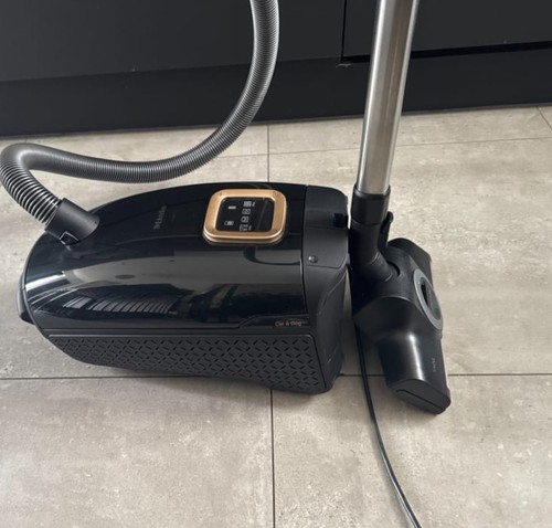 Miele guard cat - miele, dog