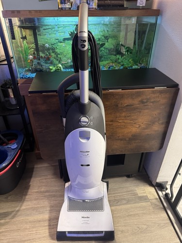Miele cat dog - cat,